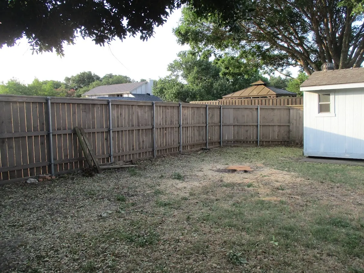 Cleared yard after professional tree removal in San Jon